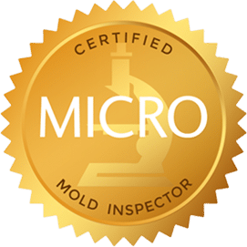 virginia beach mold inspection